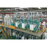 Maize/Corn Flour Processing Line
