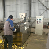 Maize Snack Processing Plant