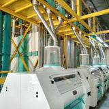 Cooking Oil Processing Plant